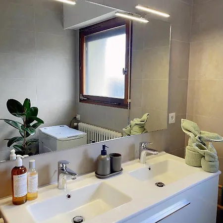 Apartment Tres Cosy A 5 Min Aeroport Geneve *