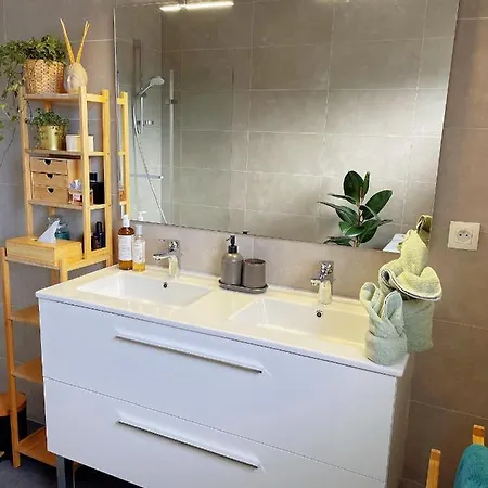Tres Cosy A 5 Min Aeroport Geneve Apartment