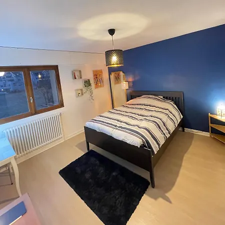 Tres Cosy A 5 Min Aeroport Geneve Apartment *