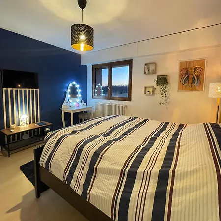 Apartment Tres Cosy A 5 Min Aeroport Geneve