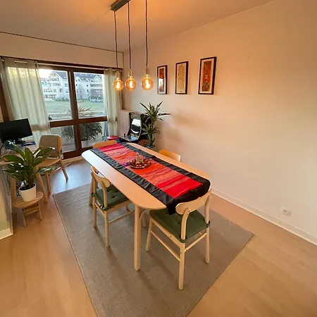 Apartment Tres Cosy A 5 Min Aeroport Geneve *