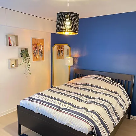 Tres Cosy A 5 Min Aeroport Geneve Apartment *