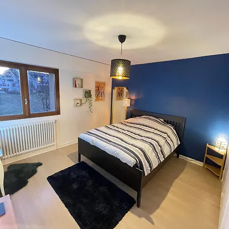Apartment Tres Cosy A 5 Min Aeroport Geneve Ferney-Voltaire