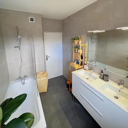Tres Cosy A 5 Min Aeroport Geneve Appartement *